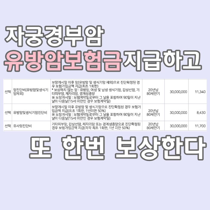  여성암보험을 하나보험으로 하는 이유(더K손해보험)