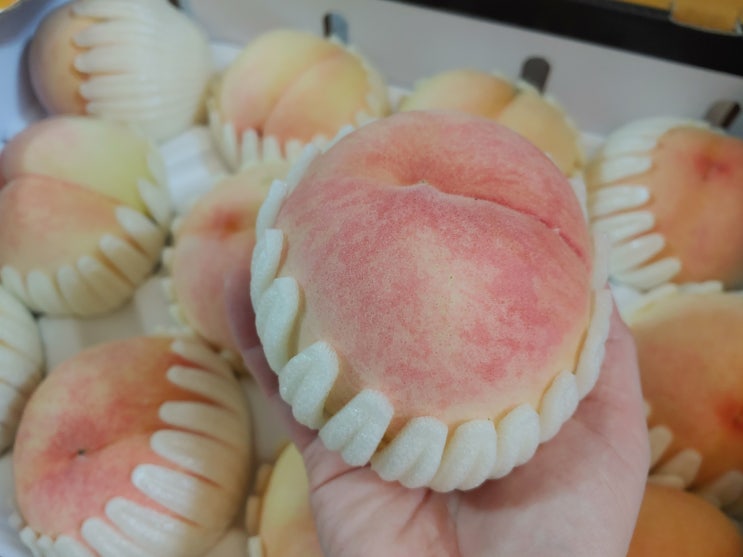  복숭아 보관법 효능과 부작용