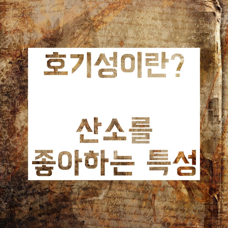 호기성? 혐기성? 호기성세균? 혐기성세균? 공부해보자! 호기성? 혐기성? 호기성세균? 혐기성세균? 공부해보자!