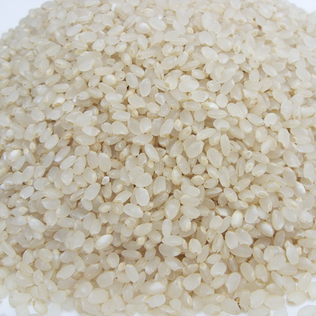 후기가 정말 좋은 이레농산 쌀눈쌀 7분도미 5kg, 1팩 추천합니다