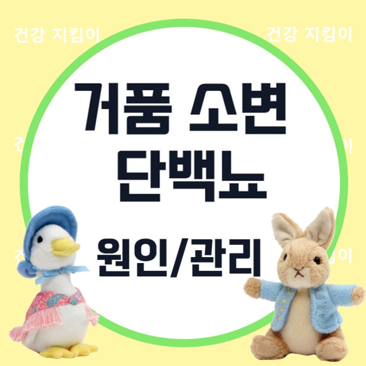 단백뇨 원인과 진단, 관리법까지!