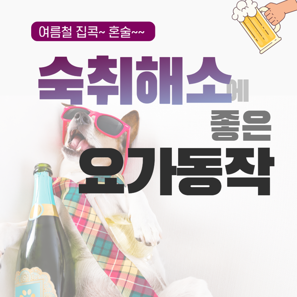  여름철 숙취해소에 좋은 요가동작 자세 with 블럭_동두천양주옥정 황수민 메디요가 월 필라테스