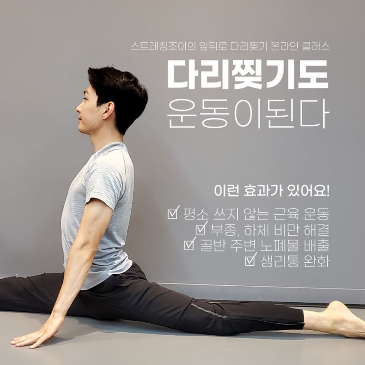 클래스 101 스트레칭 조이 2차 세로찢기
