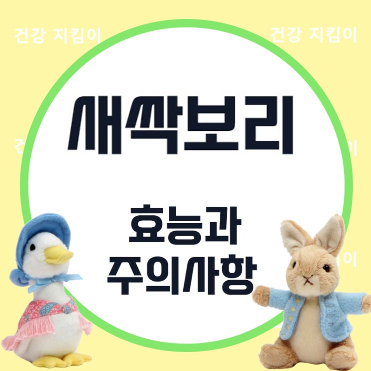 당뇨와 다이어트에 좋은 새싹보리