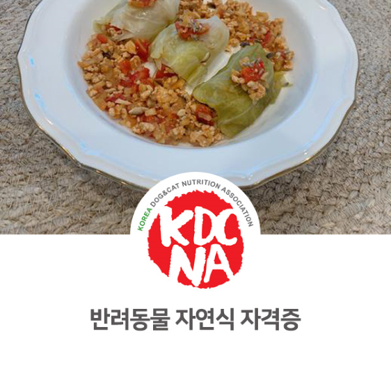  반려동물 자연식 관리사 고급과정 교육 후기 [펫푸드자격증/강아지허브/강아지화식/애견수제간식창업/반려밥상/논산/대전/대구/양주/경주_834