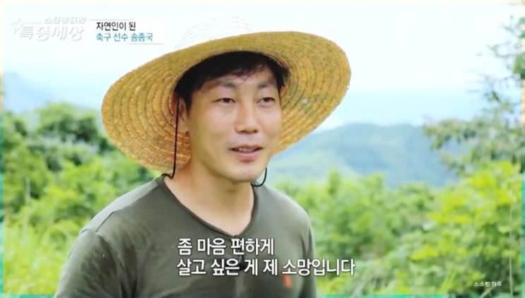  자연인 송종국  _  박연수(박잎선) 이혼 근황