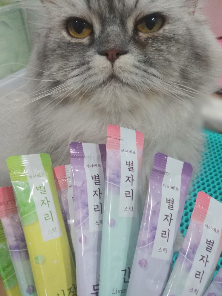  별자리스틱, 고양이 맞춤형 간식 리뷰
