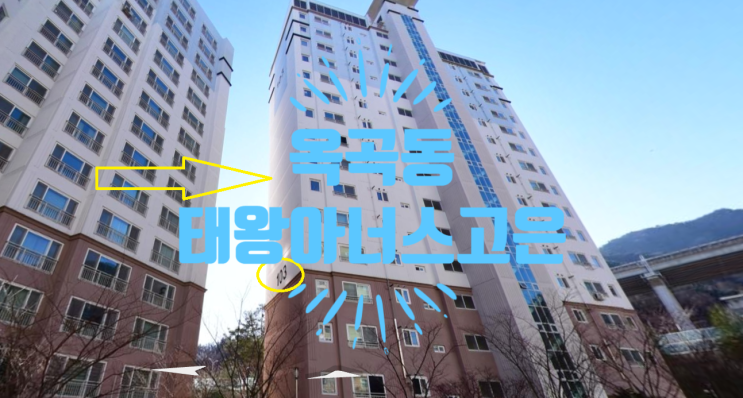  옥곡동 태왕아너스고은 매매113A(34py) 물건 있습니다