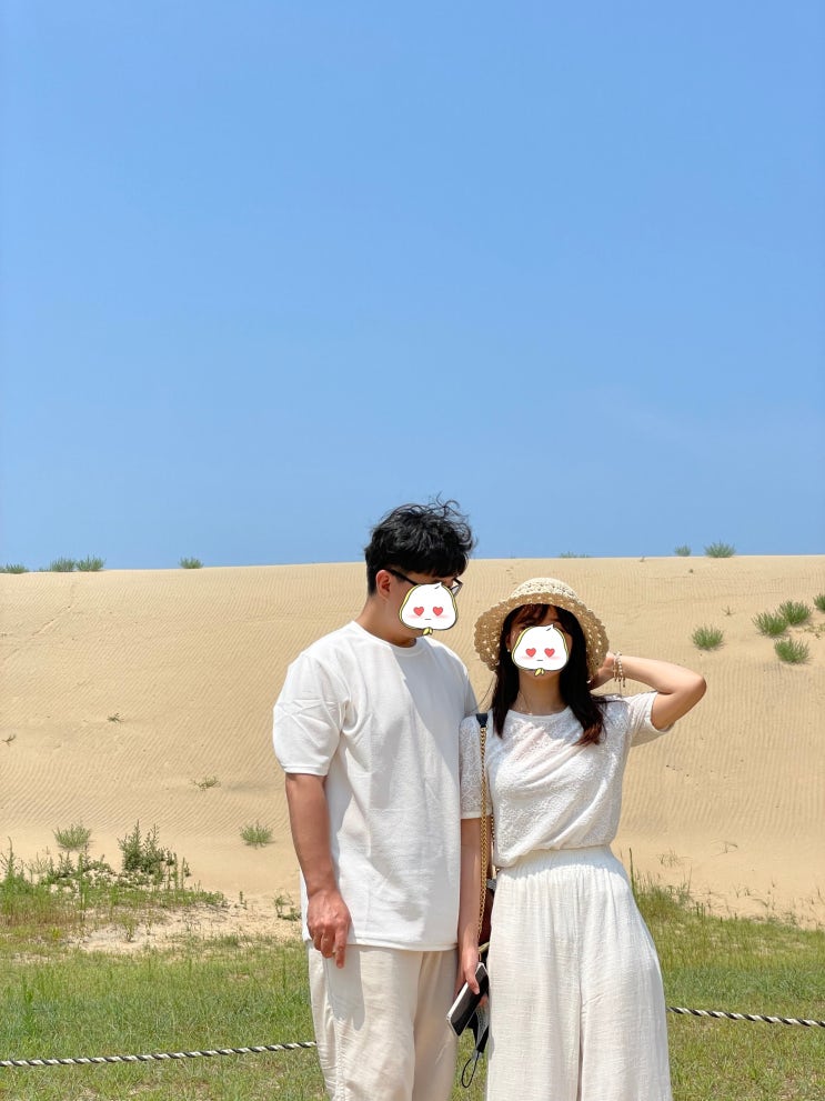  [태안 신두리 해안사구] 바다 옆에 사막???