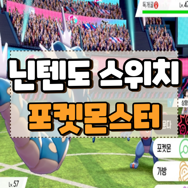  포켓몬스터 소드 실드 노력치 및 꿀팁