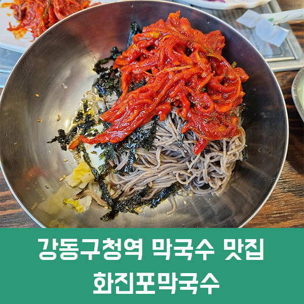  강동구청역 막국수 맛집 화진포막국수 강동구청점/ 명태식해가 맛있는 성내동 막국수 맛집