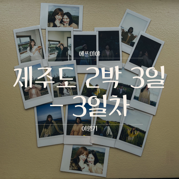  [제주도 2박 3일] 비오는 날에 애월&한림에서 보내는 먹부림