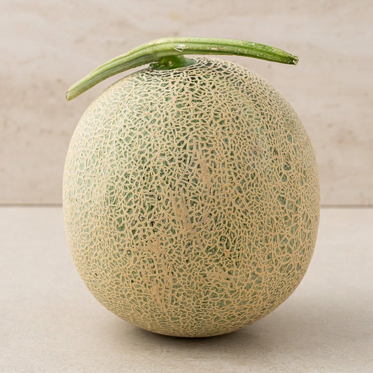 잘팔리는 곰곰 머스크 멜론, 1.5kg, 1개 ··· 잘팔리는 곰곰 머스크 멜론, 1.5kg, 1개 ···
