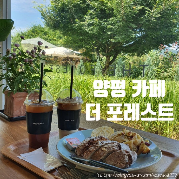 더포레스트, 고양이가 반기는 서울근교 양평카페 더포레스트, 고양이가 반기는 서울근교 양평카페