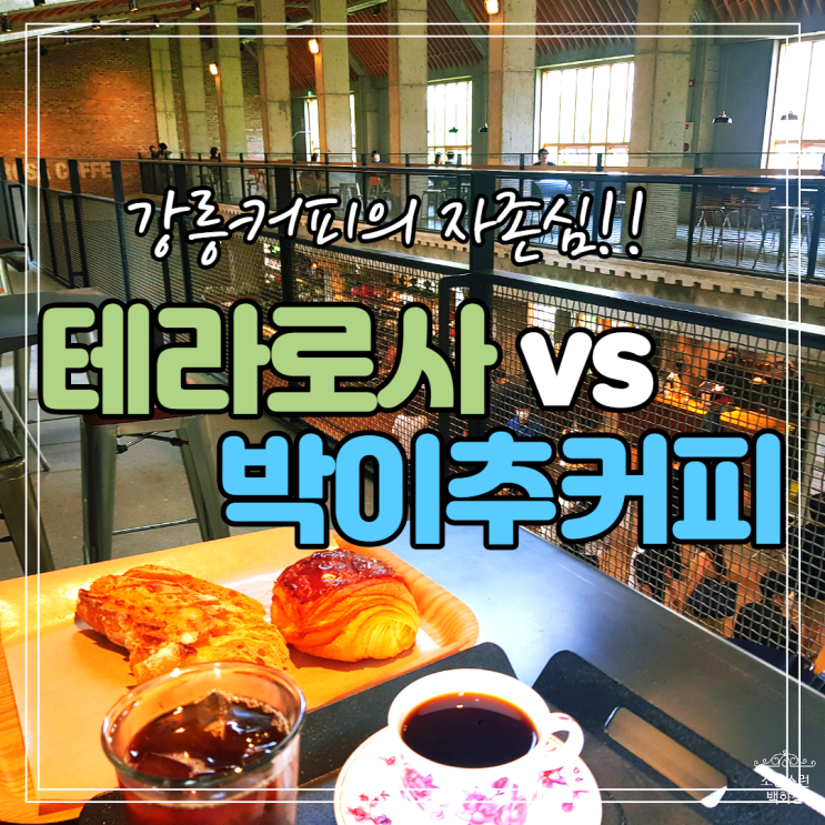  강릉 커피의 자존심 ! 테라로사 강릉본점 vs 보헤미안 박이추커피 비교 / 내돈내산 후기