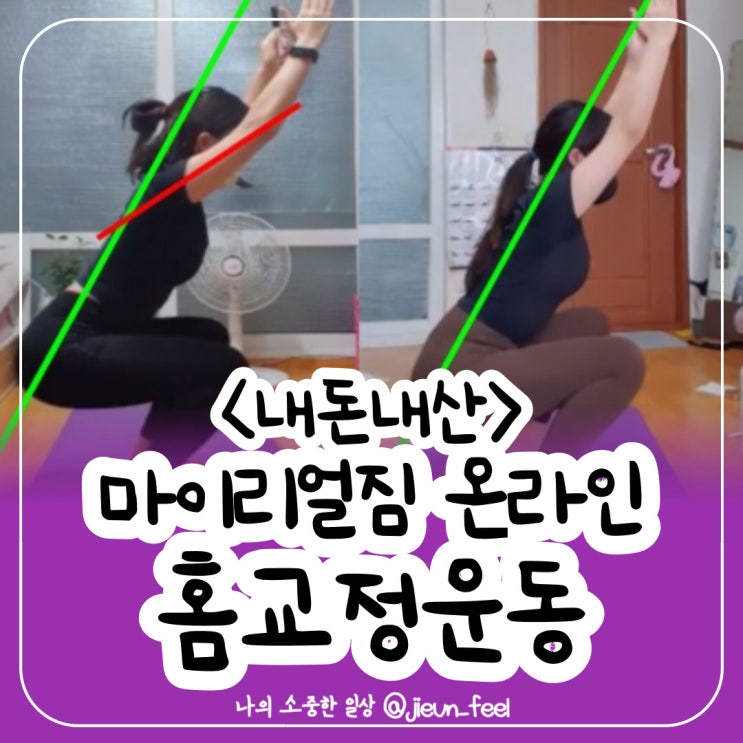  온라인 체형교정운동 내돈내산 마이리얼짐 홈교정운동 8주플랜 홈트 후기