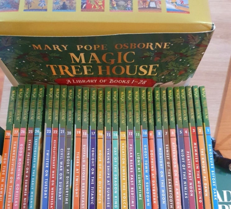 [초등 영어원서 추천] 매직 트리 하우스 Magic Tree House