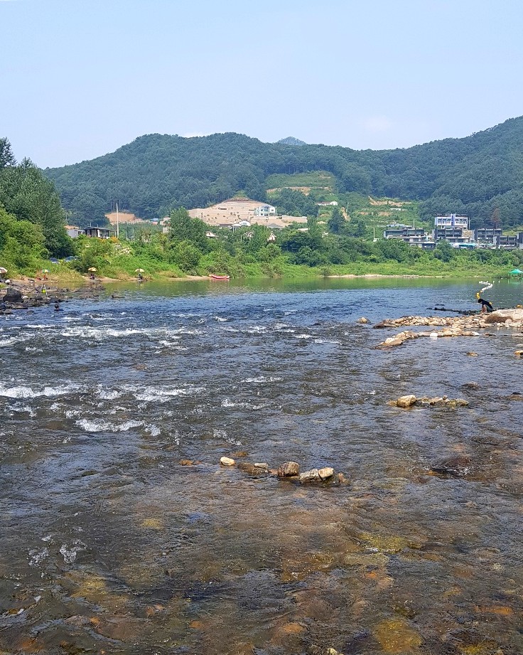  [홍천강] 당일치기 다슬기도 잡고 낚시도 즐기고