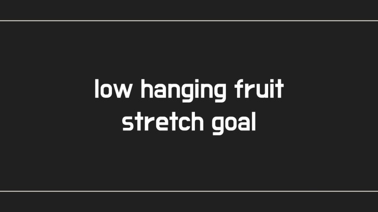 [영어 한마디] low hanging fruit / stretch goal