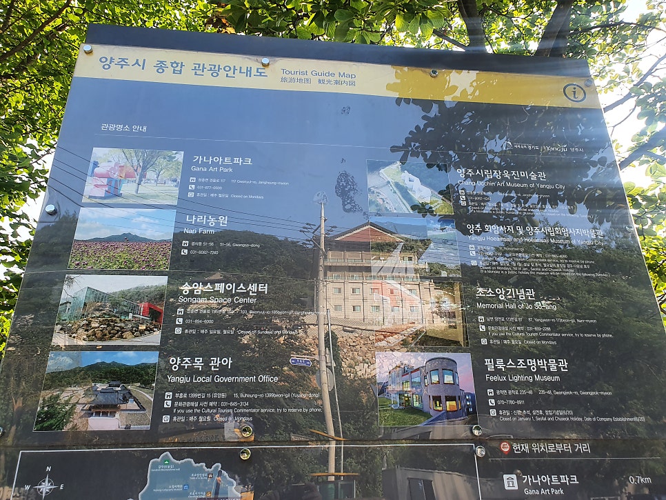 이시돌선생의 약선도가 사진 3