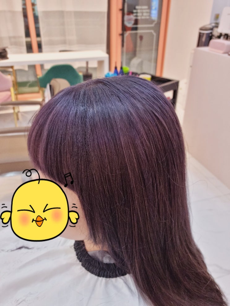  [수원시청, 인계동 Anna hair] 애나헤어 정아 원장 - 라벤더 애쉬 염색