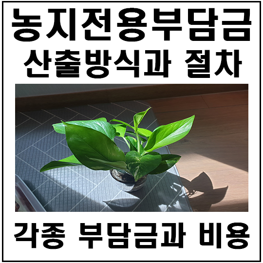  농지전용시 내야하는 부담금은 얼마일까?