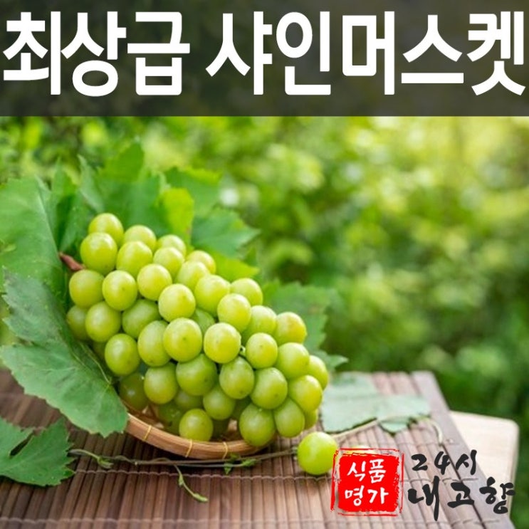 구매평 좋은 최상급 샤인머스켓 망고 포도 씨없는 청포도 과일, 1. 1kg 최상급 샤인머스켓 추천해요 구매평 좋은 최상급 샤인머스켓 망고 포도 씨없는 청포도 과일, 1. 1kg 최상급 샤인머스켓 추천해요