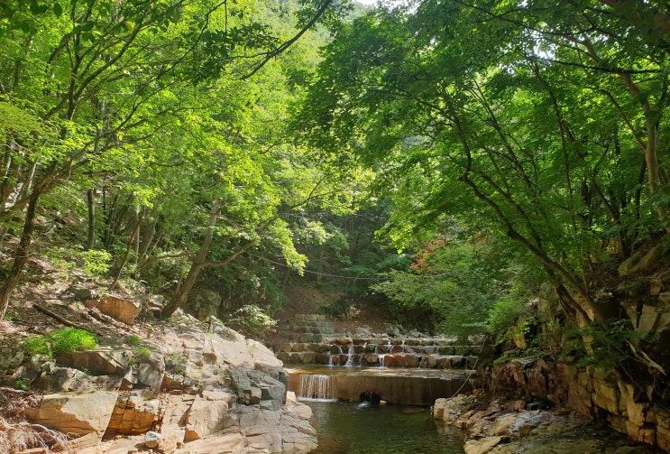  부산근교계곡추천/청도/운문사/계곡/민박/펜트/닭/오리백숙맛집/주차장 오골오골계곡식당