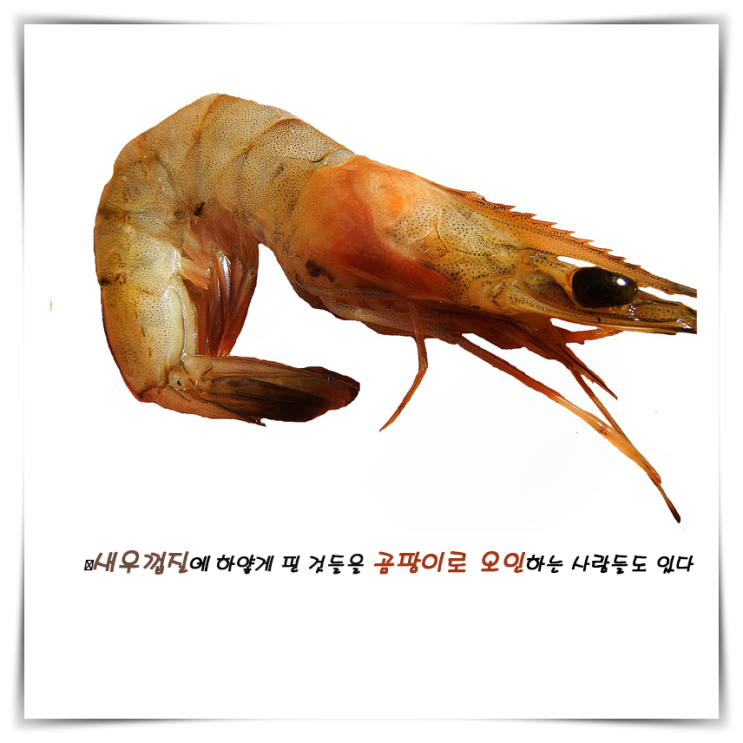 새우껍질에 하얗게 핀 것들을 곰팡이로 오인하는 사람들도 있다