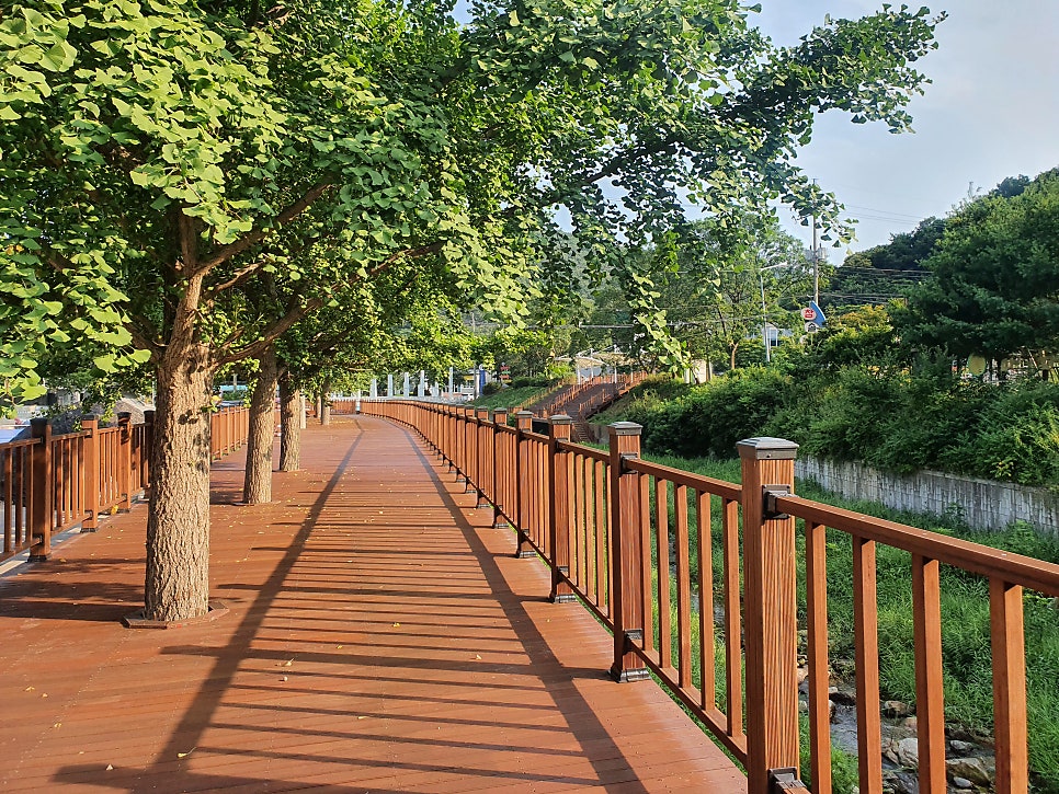 이시돌선생의 약선도가 사진 1