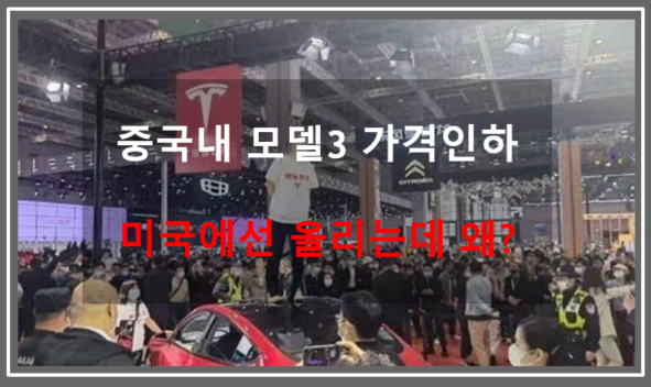  미국과 중국에서 전혀 다른 가격 정책을 쓰는 테슬라와 시장 점유율 (feat. 미국선 인상해서 이익극대화 , 중국선 인하해서 판매 확대)