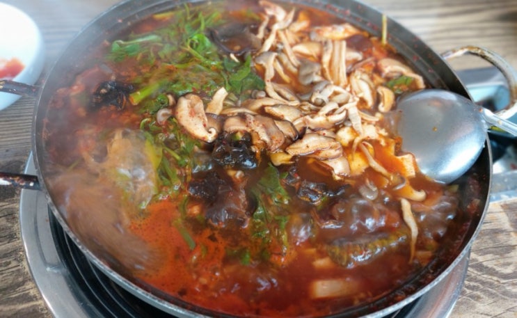 서울 매운탕 맛집 메기대감 여름 보양식 메기 매운탕 양재역 근처 메기 성분 효능 서울 매운탕 맛집 메기대감 여름 보양식 메기 매운탕 양재역 근처 메기 성분 효능