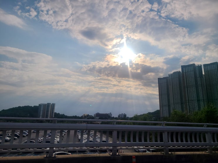  팔미낙지한마리수제비 ! 천안! 불당점!