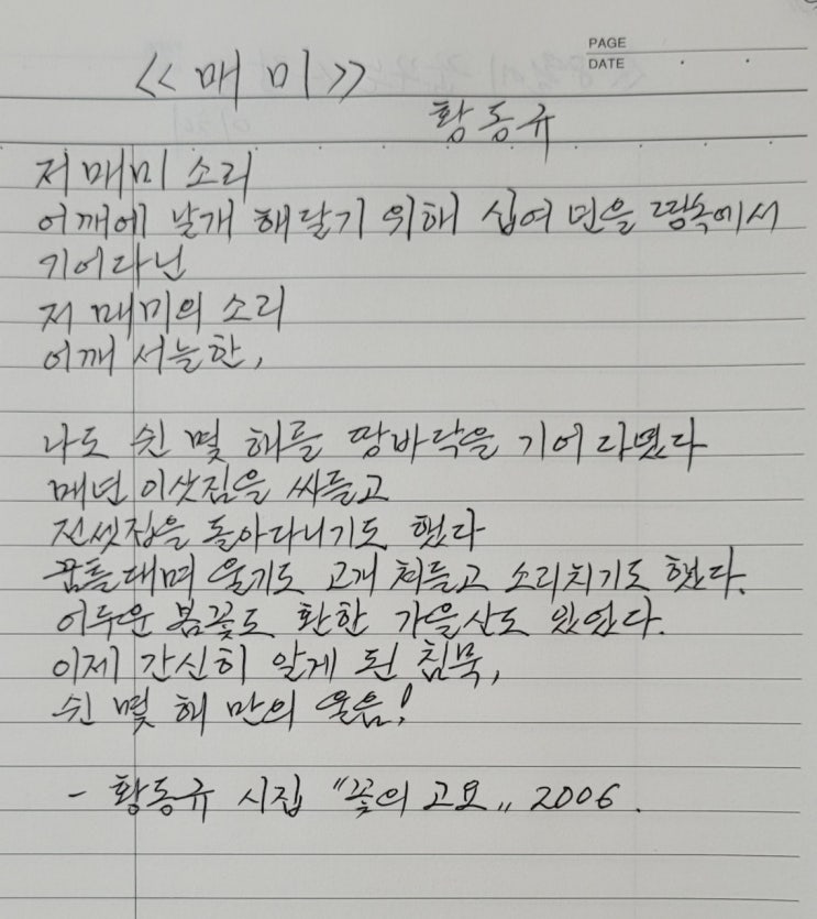  매미_어깨에 날개 해달기 위해 십여 년을 땅속에서 기어다닌 저 매미의 소리(울음? 아니면 웃음?)