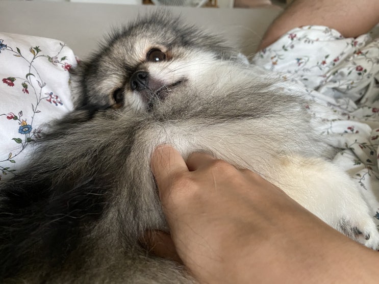  토요일 아침의 꾸꾸
