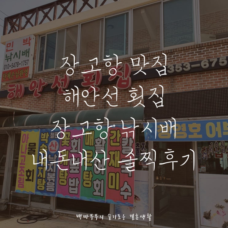  장고항 맛집 해안선 횟집 낚시배추천 물회잘하는집 내돈내산 솔찍후기