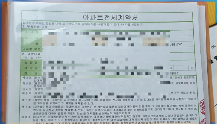  주말사진전 (feat. 여자배구 화이팅!)