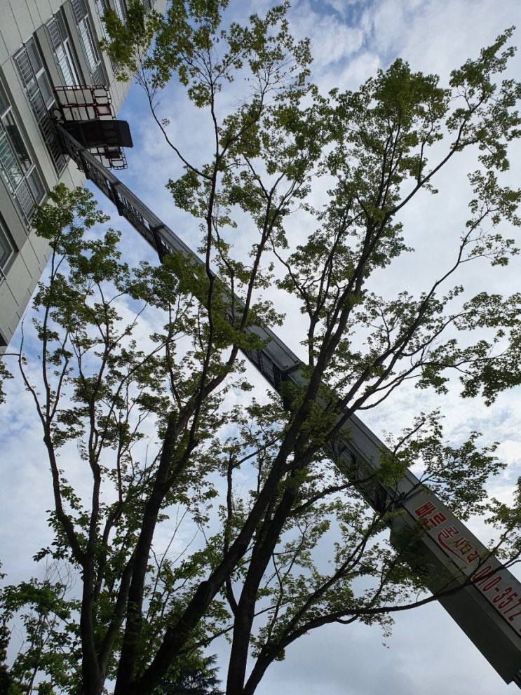 진주사다리차 사천 산청 함양 남해 합천 고성 의령 하동 진주시사다리차 진주사다리차 사천 산청 함양 남해 합천 고성 의령 하동 진주시사다리차