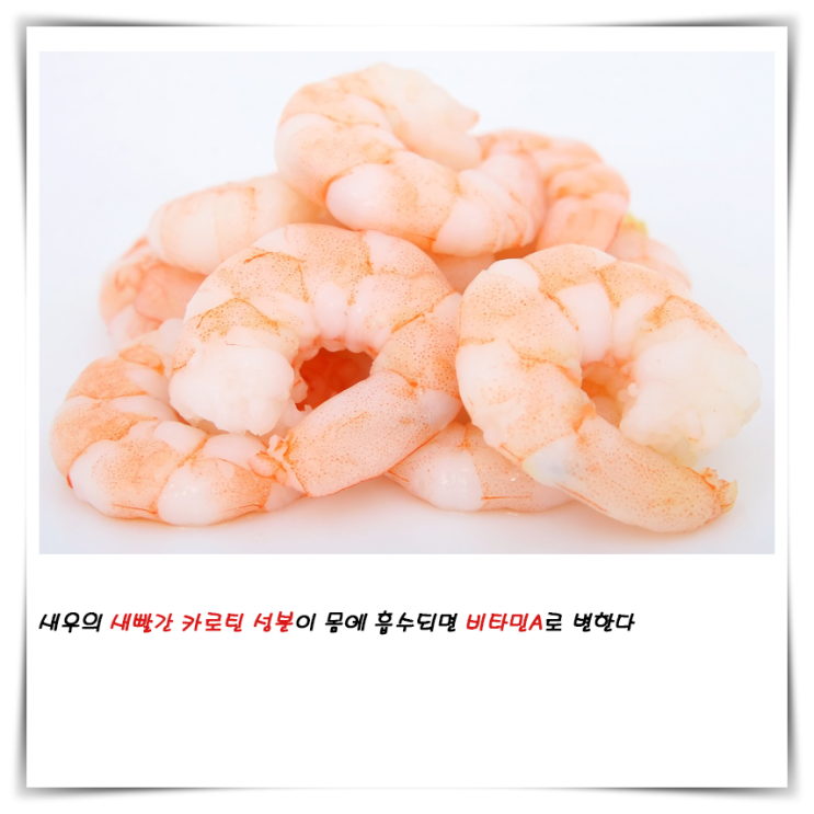  새우의 새빨간 카로틴 성분이 몸에 흡수되면 비타민A로 변한다