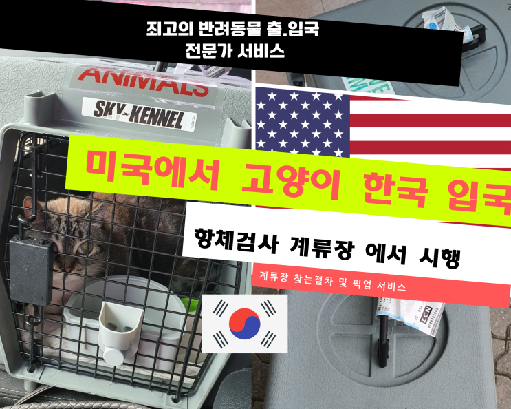  미국에서 한국으로 고양이입국 반려견 반려묘 반려동물 애견 애묘 출국 검역 세관 통관 항체검사 인천 고양이 계류장 픽업 해외검역 운송 카고 전과정