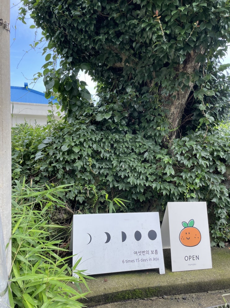  제주 소품샵 투어 서귀포 무무제주 부터 세화해변 소품 가게