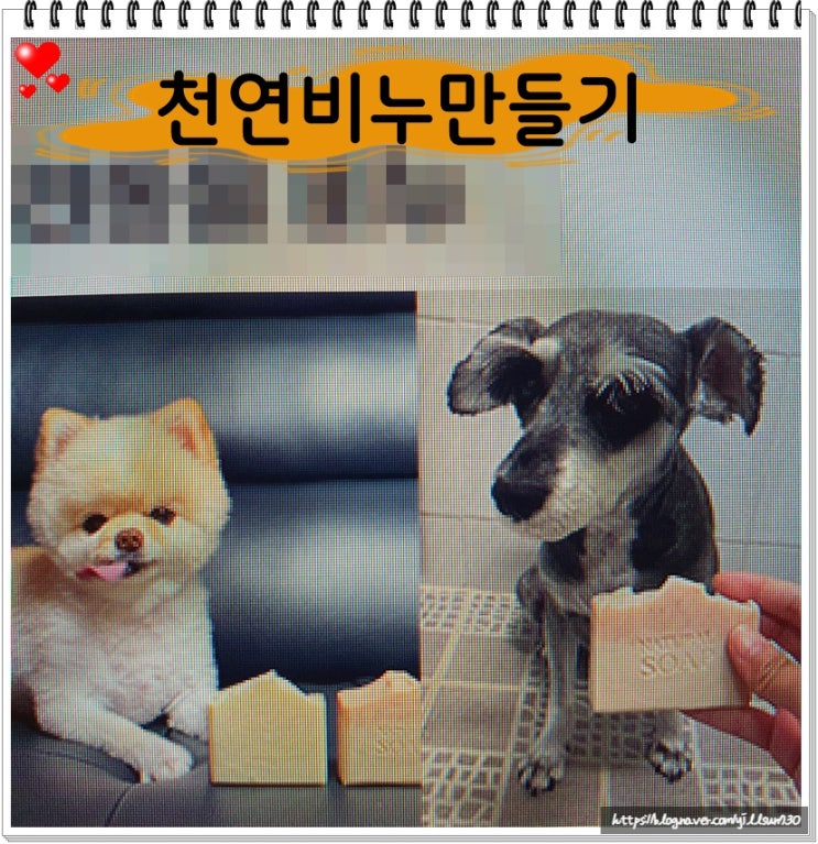  천연비누만들기 반려동물 비누 제작법까지 배워요