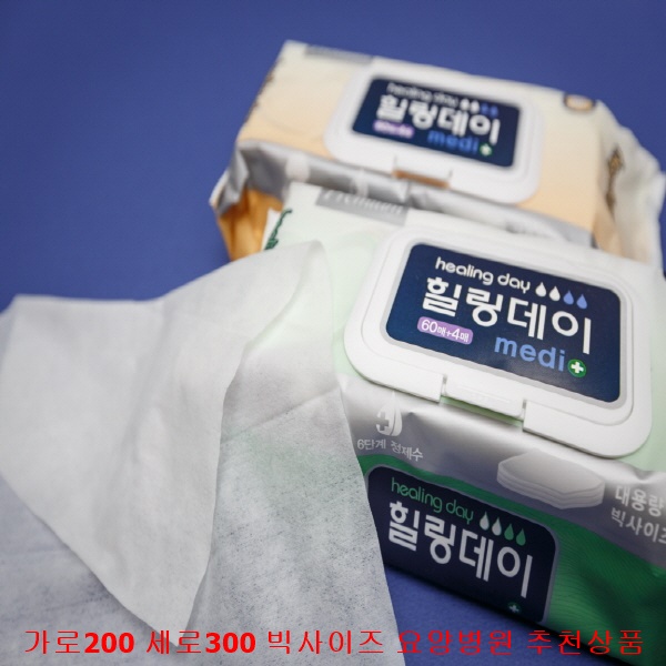 많이 찾는 힐링데이물티슈 일반원단 엠보싱원단 60매 20팩 유아용 성인용용물티슈 요양병원 추천물티슈, 두툼한60매20팩 ···