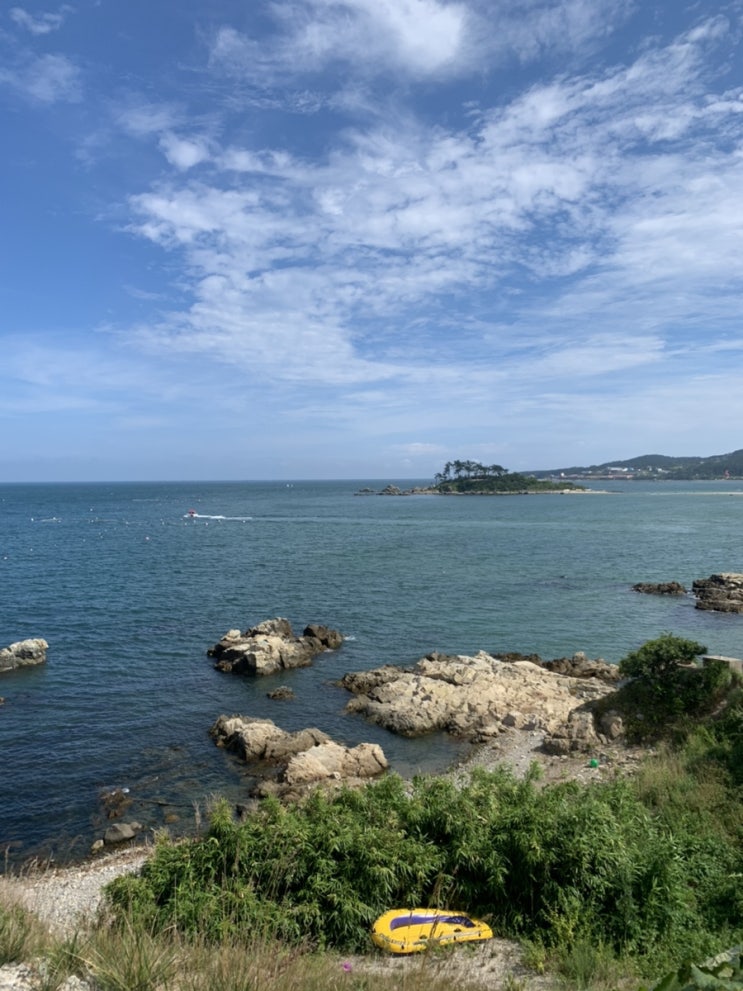  진하해수욕장 파라솔/구명조끼/ 주차장 전부 무료!