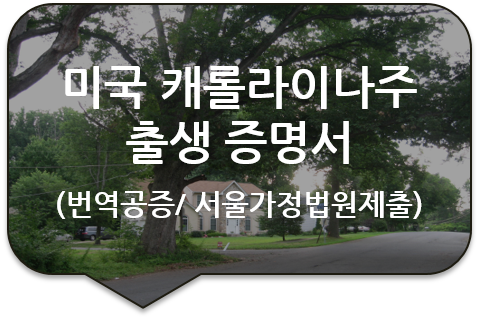 미국 노스 캐롤라이나주 출생증명서 번역공증 [기본증명서 번역공증] [동대문/압구정/논현/잠실 번역공증(대행)]