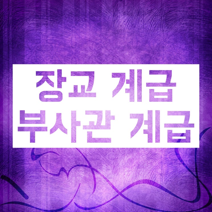 직업군인 (부사관, 장교) 계급 :: 자세히 정리해드려요 직업군인 (부사관, 장교) 계급 :: 자세히 정리해드려요