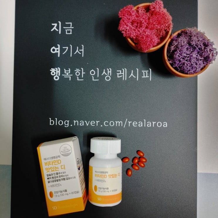  에스디생명공학 비타민D - 햇빛 결핍일 때 오렌지맛 츄어블 맛있는디