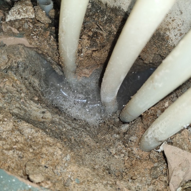  인천 가정동 삼합빌라 보일러배관 누수 항상 점검하기