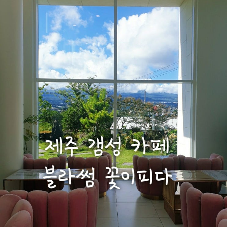  [제주] 황우지해안 / 서귀포 카페 블라썸 꽃이피다