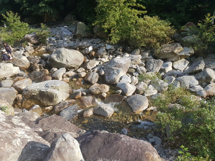  대전 근처 계곡추천 가볼만한곳 당일치기여행 무주 덕산제저수지   아이와 함께 물놀이 즐거운시간